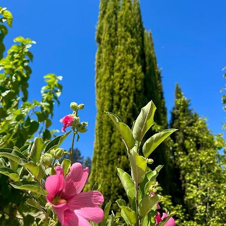 Demelida Villa In Tsada, Paphos Tsadha Zewnętrze zdjęcie