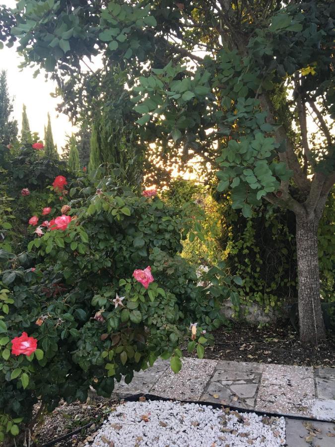 Demelida Villa In Tsada, Paphos Tsadha Zewnętrze zdjęcie