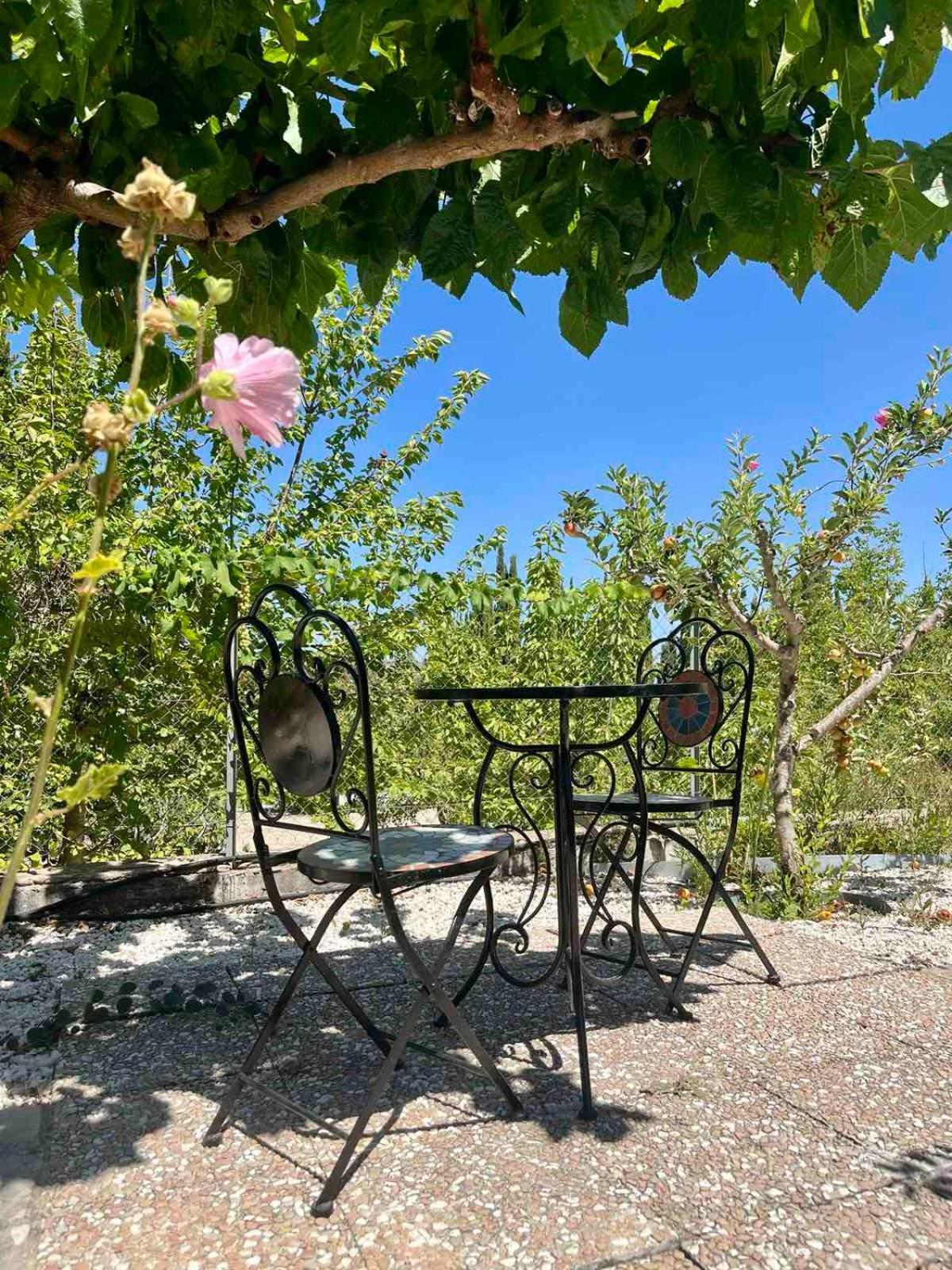 Demelida Villa In Tsada, Paphos Tsadha Zewnętrze zdjęcie